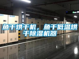 知識(shí)百科魚干烘干機(jī)，魚干低溫烘干除濕機(jī)器