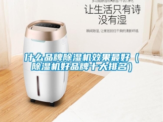 企業(yè)新聞什么品牌除濕機效果最好（除濕機好品牌十大排名）