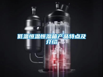 知識百科低溫恒溫恒濕箱產(chǎn)品特點(diǎn)及介紹