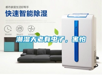 企業(yè)新聞潮濕天老有蟲子，害怕