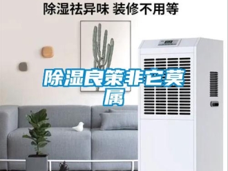 企業(yè)新聞除濕良策非它莫屬