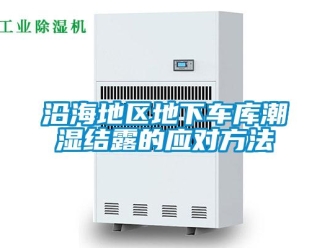 知識(shí)百科沿海地區(qū)地下車庫(kù)潮濕結(jié)露的應(yīng)對(duì)方法
