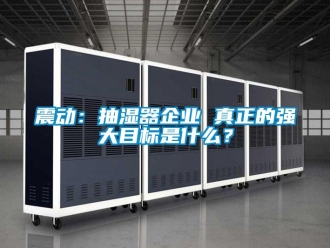 知識百科震動：抽濕器企業(yè) 真正的強(qiáng)大目標(biāo)是什么？