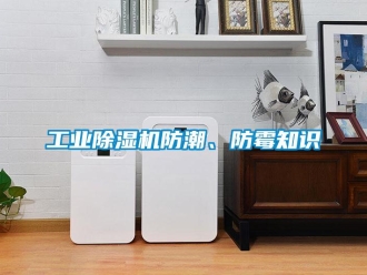 企業(yè)新聞工業(yè)除濕機(jī)防潮、防霉知識(shí)