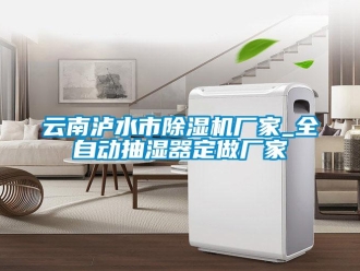企業(yè)新聞云南瀘水市除濕機(jī)廠家_全自動(dòng)抽濕器定做廠家