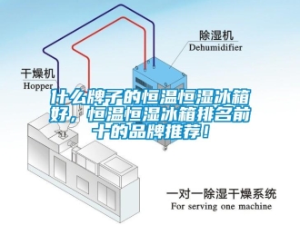 知識百科什么牌子的恒溫恒濕冰箱好，恒溫恒濕冰箱排名前十的品牌推薦！