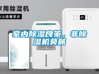 知識(shí)百科室內(nèi)除濕良策，非除濕機(jī)莫屬