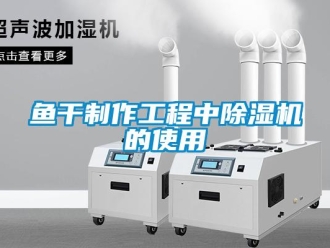 知識(shí)百科魚干制作工程中除濕機(jī)的使用