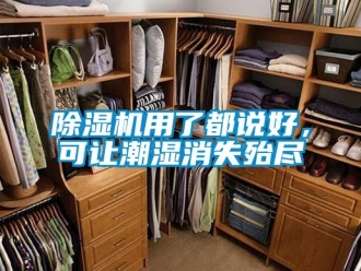 企業(yè)新聞除濕機(jī)用了都說好，可讓潮濕消失殆盡