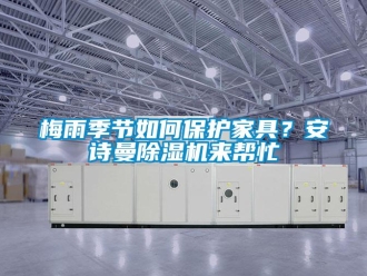企業(yè)新聞梅雨季節(jié)如何保護家具？安詩曼除濕機來幫忙