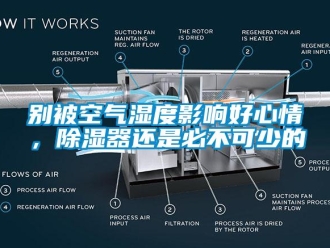 企業(yè)新聞別被空氣濕度影響好心情，除濕器還是必不可少的