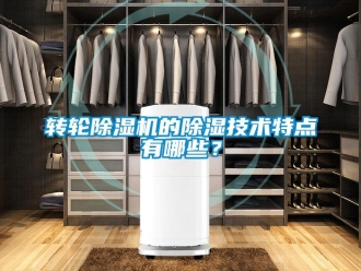 知識百科轉(zhuǎn)輪除濕機(jī)的除濕技術(shù)特點有哪些？