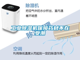 企業(yè)新聞工業(yè)除濕機保障藥材不在受潮