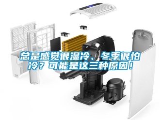 知識百科總是感覺很濕冷、冬季很怕冷？可能是這三種原因！