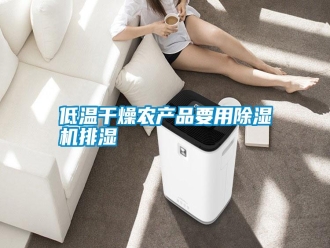 企業(yè)新聞低溫干燥農(nóng)產(chǎn)品要用除濕機(jī)排濕