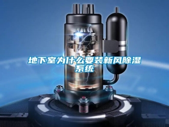企業(yè)新聞地下室為什么要裝新風(fēng)除濕系統(tǒng)