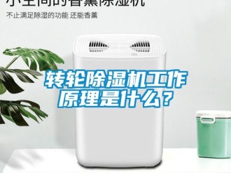 知識百科轉(zhuǎn)輪除濕機(jī)工作原理是什么？