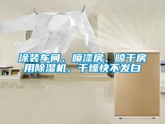 知識百科涂裝車間、噴漆房、晾干房用除濕機(jī)，干燥快不發(fā)白