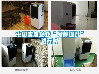 知識(shí)百科中國(guó)家電企業(yè)“品牌提升”進(jìn)行時(shí)
