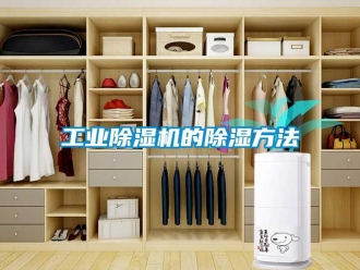 企業(yè)新聞工業(yè)除濕機的除濕方法