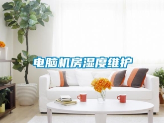 企業(yè)新聞電腦機房濕度維護