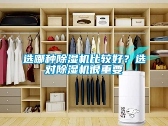 知識(shí)百科選哪種除濕機(jī)比較好？選對(duì)除濕機(jī)很重要