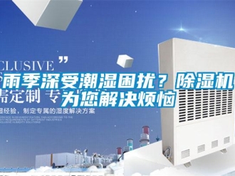 知識百科雨季深受潮濕困擾？除濕機為您解決煩惱