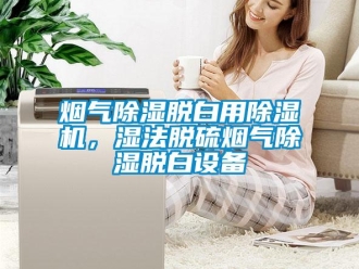 知識(shí)百科煙氣除濕脫白用除濕機(jī)，濕法脫硫煙氣除濕脫白設(shè)備