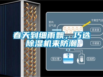 企業(yè)新聞春天到細(xì)雨飄，巧選除濕機(jī)來防潮