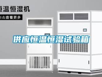 知識(shí)百科供應(yīng)恒溫恒濕試驗(yàn)箱
