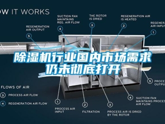 企業(yè)新聞除濕機行業(yè)國內(nèi)市場需求仍未徹底打開