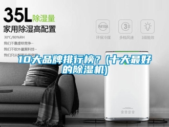 企業(yè)新聞10大品牌排行榜？(十大最好的除濕機(jī))