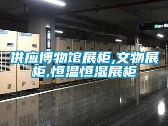知識(shí)百科供應(yīng)博物館展柜,文物展柜,恒溫恒濕展柜