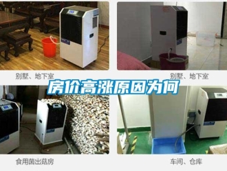 企業(yè)新聞房價高漲原因為何