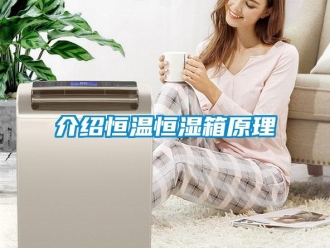 知識百科介紹恒溫恒濕箱原理