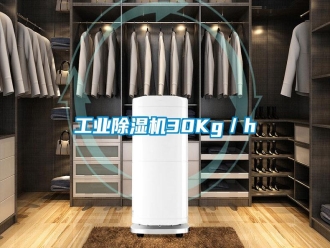 企業(yè)新聞工業(yè)除濕機(jī)30Kg／h