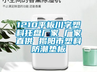 企業(yè)新聞1210平板川字塑料托盤廠家 廠家直供 揭陽(yáng)市塑料防潮墊板