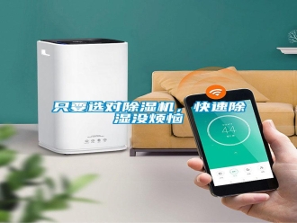 知識(shí)百科只要選對(duì)除濕機(jī)，快速除濕沒(méi)煩惱