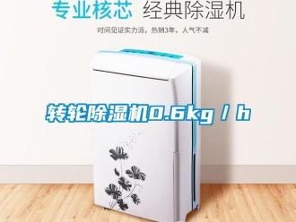 知識百科轉(zhuǎn)輪除濕機0.6kg／h