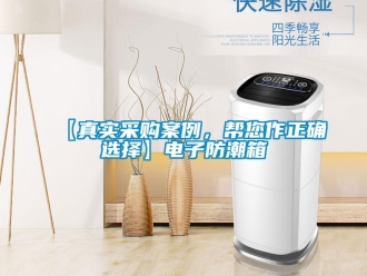 企業(yè)新聞【真實采購案例，幫您作正確選擇】電子防潮箱