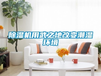 企業(yè)新聞除濕機(jī)用武之地改變潮濕環(huán)境