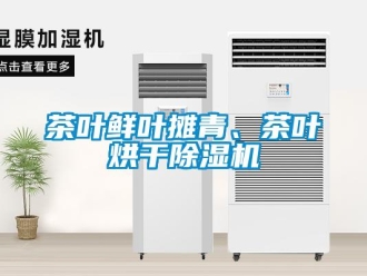 企業(yè)新聞茶葉鮮葉攤青、茶葉烘干除濕機(jī)
