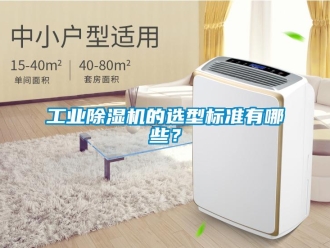企業(yè)新聞工業(yè)除濕機(jī)的選型標(biāo)準(zhǔn)有哪些？