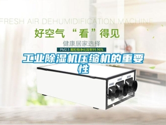 企業(yè)新聞工業(yè)除濕機(jī)壓縮機(jī)的重要性