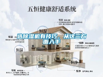 知識百科選除濕機有技巧，從這三方面入手