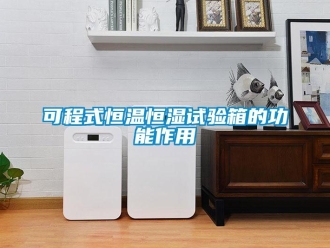 知識百科可程式恒溫恒濕試驗箱的功能作用