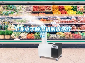 企業(yè)新聞工業(yè)電子除濕機(jī)的市場(chǎng)行情