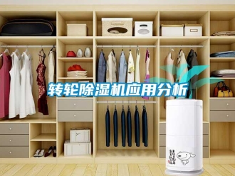 知識百科轉(zhuǎn)輪除濕機(jī)應(yīng)用分析