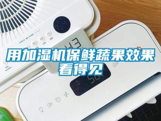 知識(shí)百科用加濕機(jī)保鮮蔬果效果看得見(jiàn)