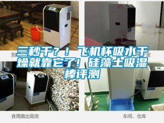 企業(yè)新聞三秒干？! 飛機(jī)杯吸水干燥就靠它了! 硅藻土吸濕棒評測